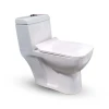 Luxury Modern Design One Piece Toilet Set WC Recto-103 White Ceramic Sanitaryware for Wall and Floor Mounted Water Closets