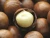 Import Macadamia Nuts / Macadamia Nuts Kernels from Uganda