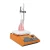 Import magnetic stirrer with hot plate from China