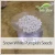 Manufacturer Price Wholesale Edible Snow White Pumpkin Seeds Grade AA