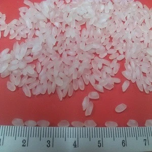 Medium White Rice (Egyptian short grain Rice) - Viber/Whatsapp no.: +84905209103