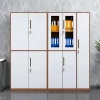 Melamine Office Cabinet Stainless Steel Filing Cabinet Souvenir Stores Medical Office Furniture Medicine Cabinet