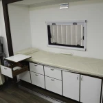 Multifunctional and customized mobile medical vehicle clinical analytical instruments