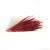 Import Multifunctional chicken/ostrich/peacock feather fans for performance from China