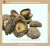 Import mushroom truffle wild morchella conica boletus edulis shiitake from China