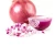 Import Natural Organic Fresh Red Onion from Germany