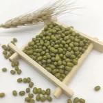 New Bestselling Green Mung Beans