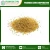 Import New Crop Bulk White Millet Supplier from India