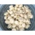 Import new crop fresh canned water chestnuts 2950g from China