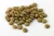Import New crop Quality whole &amp; split Red lentils from France