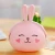 Import New fashion wallet cute little rabbit silicone mini coin purse from China