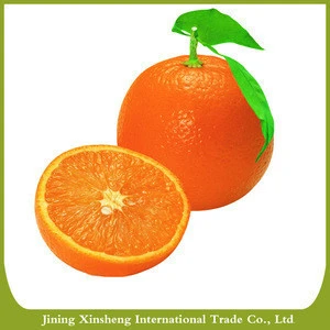 New fresh orange fruit specific