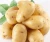 Import New harvest Fresh Potatoes/Fresh long shape new potato from Germany