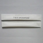 oral hygiene care kit dental toothpick plastic brush