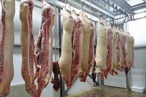 Order you livestock/poultry slaughtering and cutting processing equipment now !!