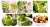 Import Organic Farm Fresh Kiwi Fruit High Vitamins C from China