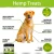 Import Organic Hemp cbd Calming Treats for Dogs Joint Supplements in stock Treats Infused with Hemp Oil pet treat from China