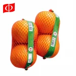 Packing eggs potato tomato small plastic net mesh bag
