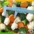 Import Passed Good Taste frozen mixed vegetable with BRC from China