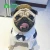 Import Pet Wedding Dress Striped Suit Dog Clothes Best Selling Dog Products from China