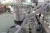 Import Pharmaceutical product glass bottle syrup filling machine from China
