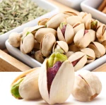 Pistachio nuts Roasted and Salted Primary Natural color with premium quality in bulk for sale