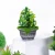 Import Plastic Succulents Pot Small Size Flowerpot Balcony Decorations Bonsai Nursery Pots Garden Supplies from China