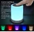 Import Portable Wireless Speaker with Colorful LED Lamp Night Light Camping Light and SD Card Slot from China