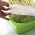 Import PP Material 3pcs Green Color Agriculture Greenhouse Plastic Bean Sprout Seed Trays With Lids from China