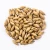 Import Premium Grade Energetic Wheat Bran/Wheat Barley for Animal Feed from Belgium