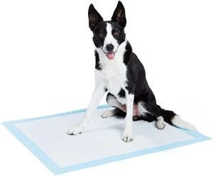 Professional Non Woven Fabric Charcoal High Absorbency Pet puppy Training Pads Japanese Pet Puppy Select  WC Wee Pee Pads