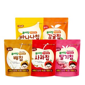 PURE-EAT Freeze-Dried Organic Nutritious Fruit snack Chips No Additives for Baby Apple