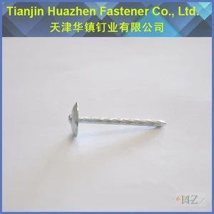 Q195 Carbon Steel white zinc plated Umbrella Head Roofing nails