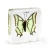 Import Real Delias Pasithoe Butterfly Specimen in Resin Acrylic Crafts Paperweight Wedding Home Decoration from China