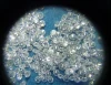 Real Natural VVS Clarity H-I Color 2.50 mm to 3.30 mm Size Round Cut White Loose Diamonds