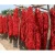 Import red hot chilli  wholesale hot selling  pepper from China