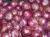 Import Red Onion Of Best Quality from India