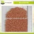 Import Red Sorghum Grain, Sorghum Wholesale Supplier from Ukraine