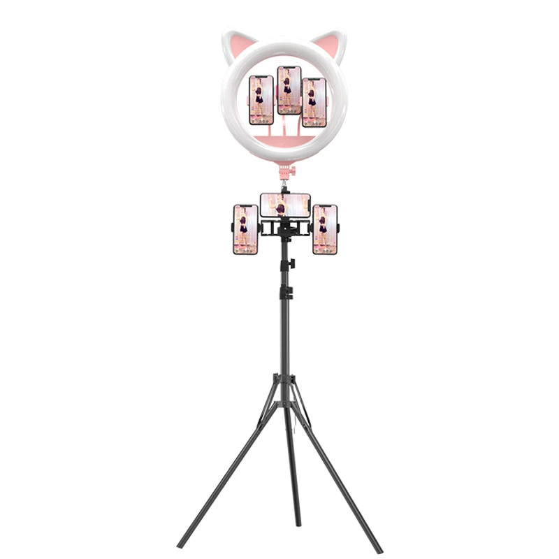 Rk-45 Factory Price Ring Led Light With Led Ring Light Stand With Premium Quality Ring Light Phone Case