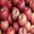 Import Royal Gala fresh Apples class one Apples USA origin from China