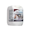 SANITYBUCATO 101 - Professional Sanitizing additive for hand laundry and scented washing machine.LT 5