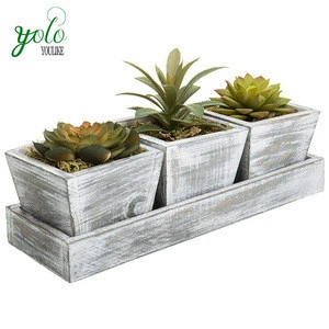 Set of 3 Artificial Plants in Rustic Wood Planter Boxes with 11-Inch Display Tray