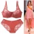 Import Sexy Plus Size E Cup Woman Adjustable Comfortable Breathable big Lace Underwear Woman Bra & Brief Set from China