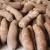Import Shan yao high quality nutrition raw vegetable yam from Germany