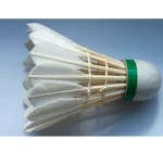 Shuttlecock