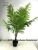Import SJ10087 Natural Foliage Plants Type Green Indoor Big Plants for Decor from China