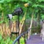 Import Solar Garden Light Toucan Outside Yard Lights Outdoor Decorative Stake Cute Patio Decor Pathway Lawn Path Decorations Metal from China