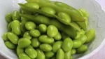 Soybeans yellow soybean soya bean seed FOR SALE
