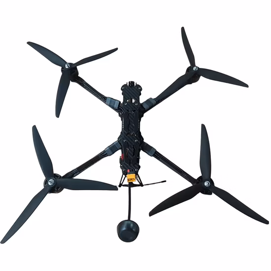 Import Ultra-Lightweight 10-Inch Carbon Fiber Drone with GPS Features from China