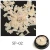 Import Supplies Tips Shell Japanese Sea Shells for Nails Decoration Abalone Nail Art from China
